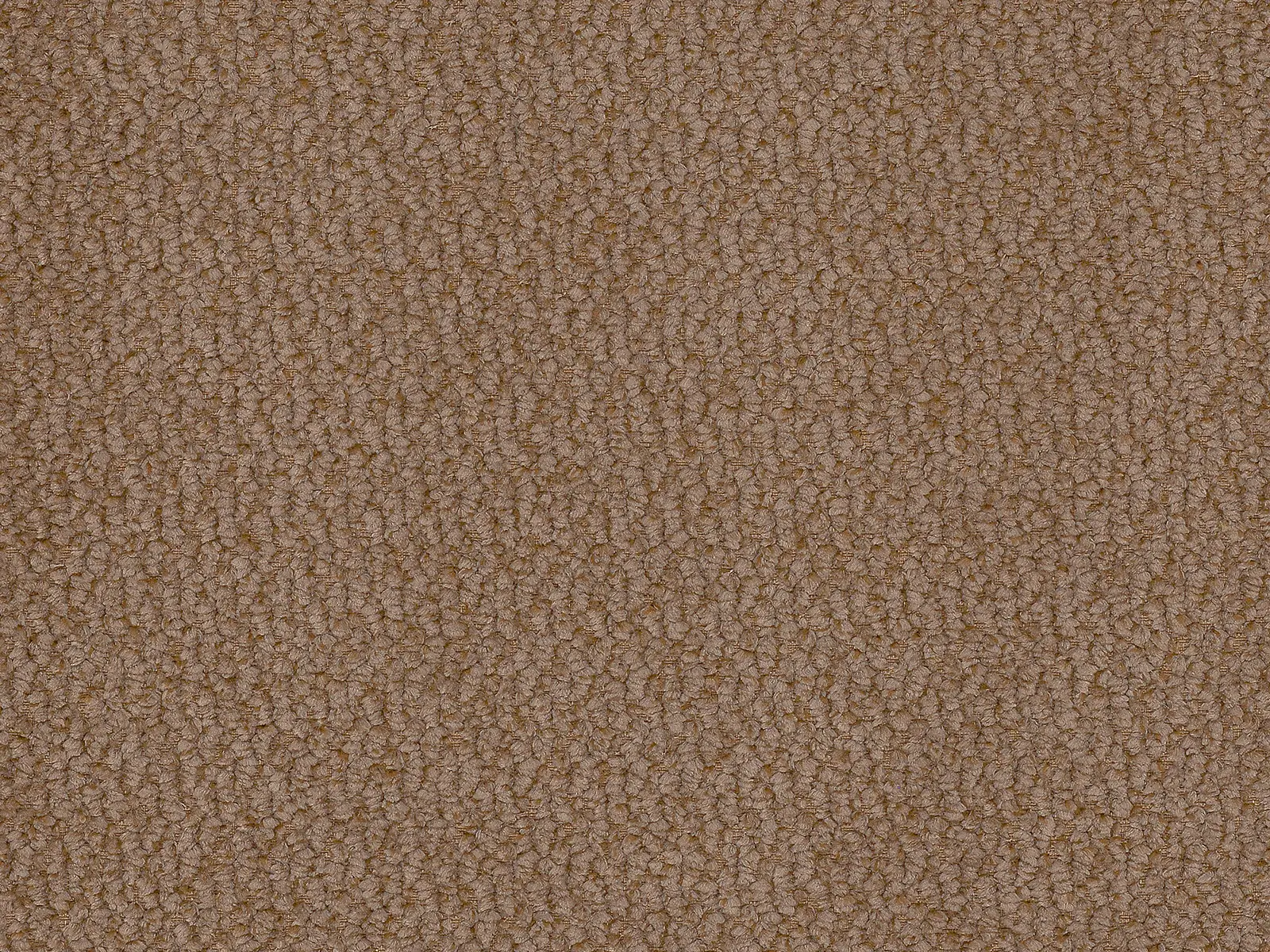 Kolor Vinci 38